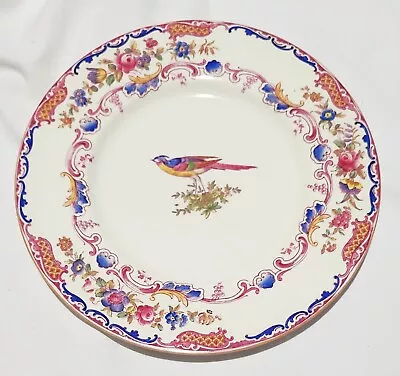 Buy Hard 2 Find Spode Copeland's China  The Songster  Pattern 10.5 Inch Dinner Plate • 61.64£