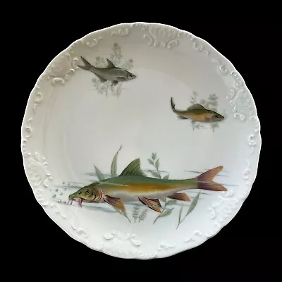 Buy Tharaud Fish Dinner Plate Catfish Limoges French Porcelain 9 3/4  France Made • 33.61£