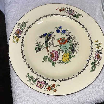 Buy Adderley Ware England Bone China Plate 9 Inches  Bird Multicolored Painted • 17.69£
