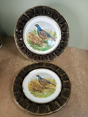 Buy Two Vintage, Arclow Pottery, (ROI), 'Grouse' Decorative Plates, 23 & 20cm • 5.95£