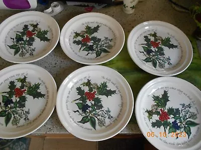 Buy Portmeirion Holly And Ivy Set Of 6 Dinner Plates - 10.25 Inch • 75£
