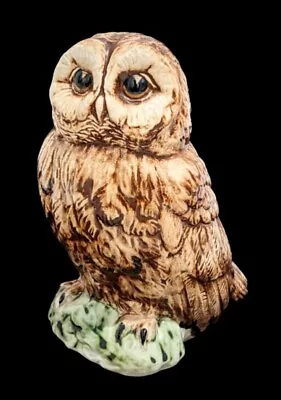 Buy Scotia Ceramics Isle Of Lewis Ceramic Owl Figurine • 12.50£