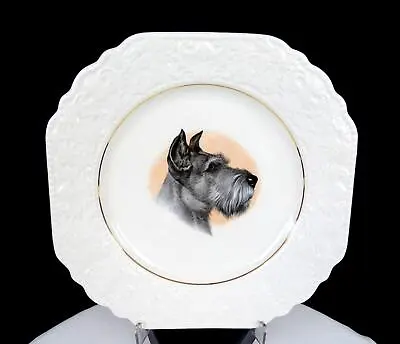 Buy Lord Nelson Pottery England #2-72 Schnauzer Terrier Scroll Embossed 8 3/8  Plate • 18.90£