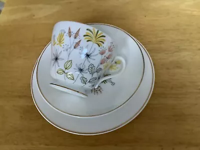 Buy Extremely Rare Shelley Pattern No. 2476 Enchantment Windsor Shape  1 Tea Trio . • 65£