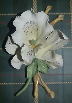 Buy Dea Capodimonte Porcelain Vintage Orchid Italian Flower Figurine Floral Decor • 18.80£