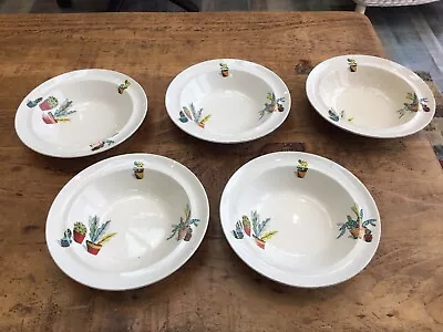 Buy 5. VINTAGE. CIRCA 1950s ALFRED  MEAKIN ENGLAND. CACTUS PATTERN DISHES / BOWLS. • 12£