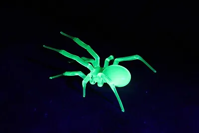 Buy Uranium Glass Spider Uranium Vaseline Glass Figurine Spider Glass UV Spider • 84.51£