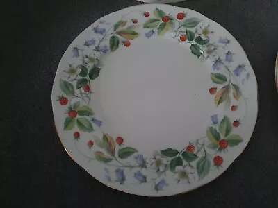 Buy Duchess Strawberry Fields Dinner Plate • 8.50£