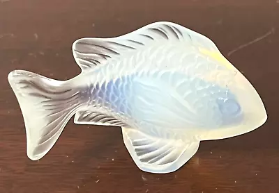 Buy Lalique Paris White Crystal Opalescent Clear Damsel Fish Sculpture 2.75  • 144.07£