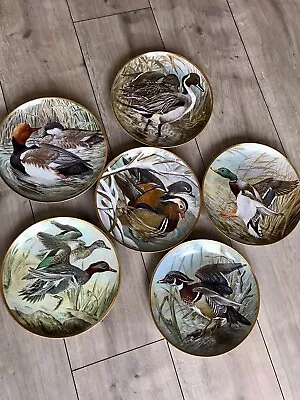 Buy Franklin Porcelain Water Birds Of The World. Limoges France.Set 6 Plate’s  • 26.99£
