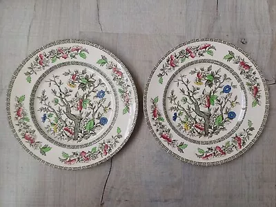 Buy Vintage Alfred Meakin  'Indian Tree' Small Dinner Plates X 2 9inch • 8£