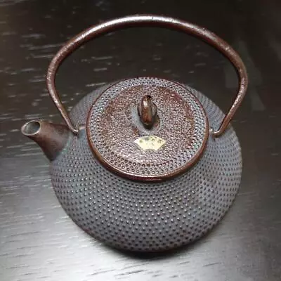 Buy Nambu Ironware NAMBU TEKKI   Seieido Teapot • 97.43£
