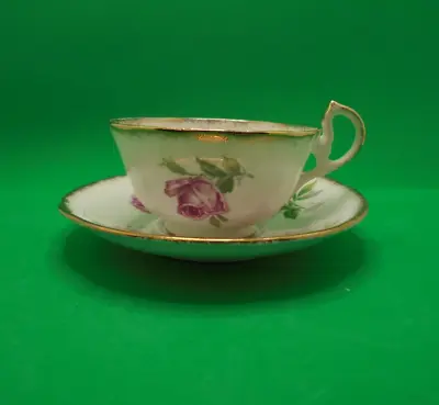 Buy Royal Standard Bone China Teacup & Saucer Orleans Rose • 17.22£