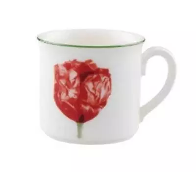 Buy Villeroy & And Boch FLORA COQUELICOT Espresso Cup NEW NWL 0.1litre • 14.99£