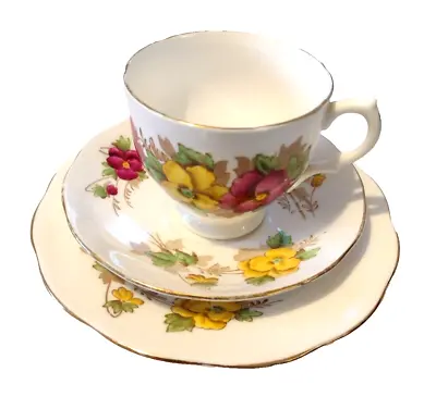 Buy Pansy Salisbury Bone China Teacup Saucer Tea Plate Vintage Free UK Postage • 22£