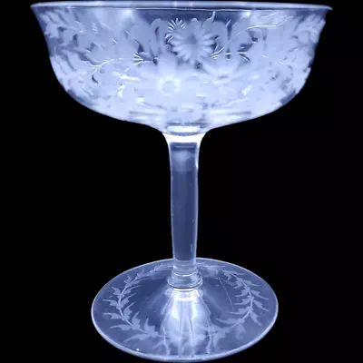 Buy Antique Hand Cut Clear Crystal Etched Floral Design Champagne Glass • 40.64£