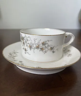 Buy Antique Haviland Limoges France CFH/GDM Hand Painted Tea Cup & Saucer Set • 8.52£