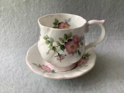 Buy Queens Fine Bone China Cup And Saucer Dog Rose Pattern Excellent Condition • 4£