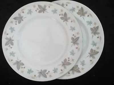 Buy Dinner Plates X 2, Ridgway Pottery White Mist Pattern, 1960s Vintage • 10£