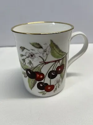 Buy Duchess Fine Bone China Mug Cup Cherries • 9.46£