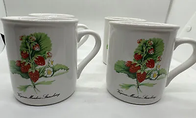 Buy Virginia Meadow Strawberry Coffee Mugs Cups Set Of 4 Made In Japan • 16.12£