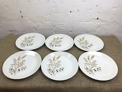 Buy 6 X Vintage Ridgway Sunblest Pattern Dinner Plates-25.5cm • 25£