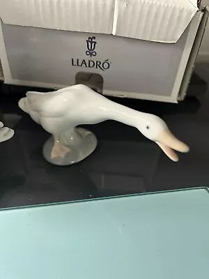 Buy  Lladro Running Duck/Goose 04551 Porcelain Bird Figure • 10£