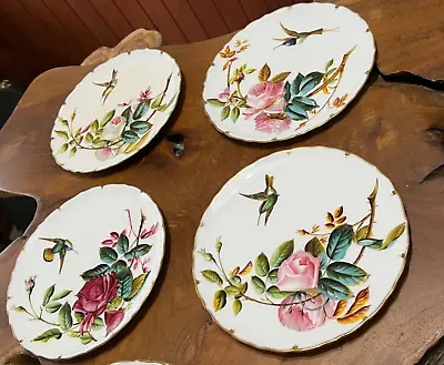 Buy Gorgeous George Jones Antique Hummingbird And Rose Plate Set Of 12 • 403.72£