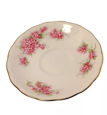 Buy Royal Vale English Bone China Saucer Only Pink Floral • 8.59£