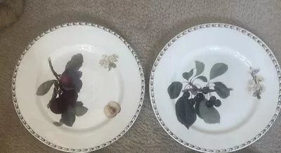 Buy Queen's Fine Bone China Royal Horticulture Soc.  Hookers Fruit  2 Dinner Plates • 16.50£