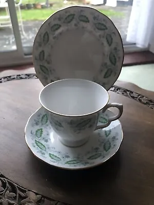 Buy Vintage Queen Anne Trio Teacup Saucer & Plate Bone China( 8603) • 12£