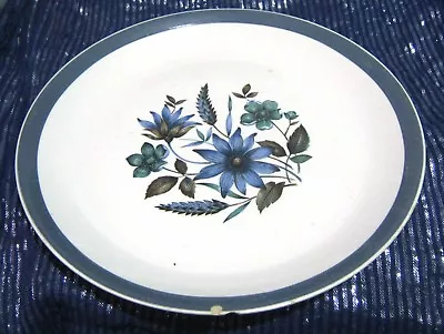 Buy Lovely Myott Country Side Ironstone Ware Dinner Plate Approx 10 Ins Wide • 9.99£