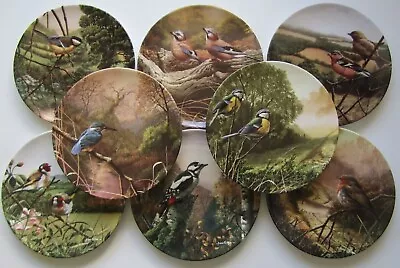 Buy Royal Doulton 8  Bone China Bird Plate Treasures Of The Morning Choose From List • 5.99£