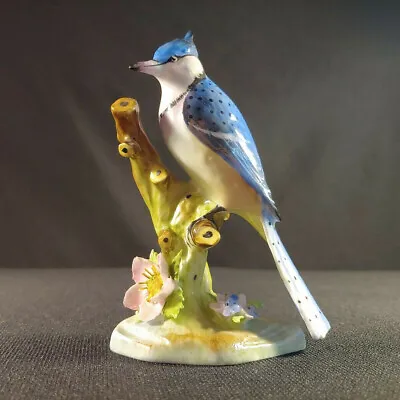 Buy Royal Adderley American Blue Jay Figurine Floral Made In England Bone China • 76.25£