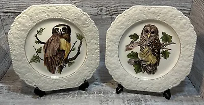 Buy Beautiful Pair Of Lord Nelson Pottery Owl Plates Vintage Embossed Edge Gold Gilt • 14.95£