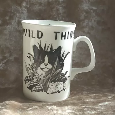 Buy Vintage Felix The Cat Mug Wild Thing Tasted & Approved Bone China Duchess VGC  • 10£