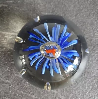 Buy Highland Arts Small Clear Glass Paperweight Blue Flower Goldfish Scotland VGC • 5.99£