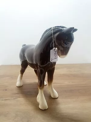 Buy Shire / Clydesdale Foal. Horse Ornament Figurine By Coopercraft Vintage 13.5 Cm • 17.95£