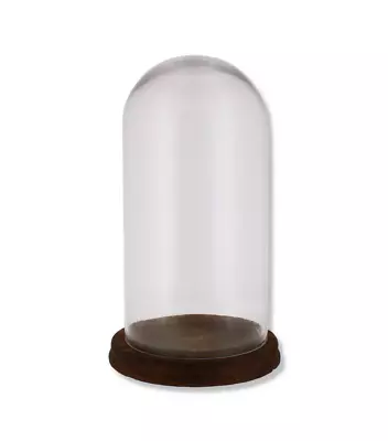 Buy 33cm Glass Display Bell Jar Oval Cloche On Dark Wood Base Display Stand • 21.95£