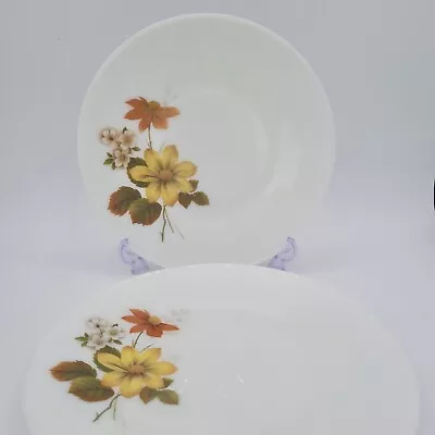 Buy Pyrex Autumn Glory Dinner Plates X 2 • 7.99£