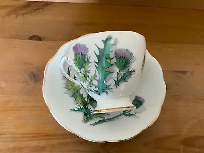 Buy Queen O’ Th’ Highlands Roslyn Fine Bone China Teacup And Saucer • 12£