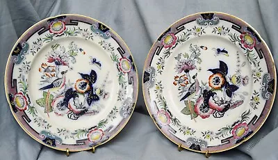 Buy Pair Plates Pheasant, Ridgway & Morley, Hanley Staffordshire, England, 1842-45 • 61.66£