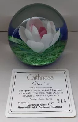 Buy Caithness ‘Opus 88’ 1988 Paperweight (314/1000) Colin Terris • 40£