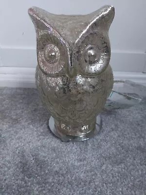 Buy Glass Owl Lamp Crackle Effect • 18£