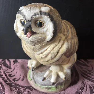 Buy Boehm LE 750 Porcelain Fledgling Great Horned Owl Figurine 479 USA Harry Potter • 113.80£