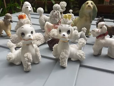 Buy 12 Vintage Miniature Dogs Bone China Kitsch 50s - Ornaments Poodles NEED A HOME! • 8.99£