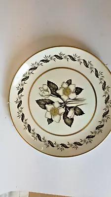 Buy Royal Worcester Vintage Plate Fine Bone China Bernina Brown Charity Sale • 7.99£