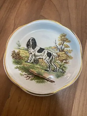 Buy Vintage Royal Worcester Cocker Spaniel Raised Palissy Trinket Tray Pin Dish • 8£