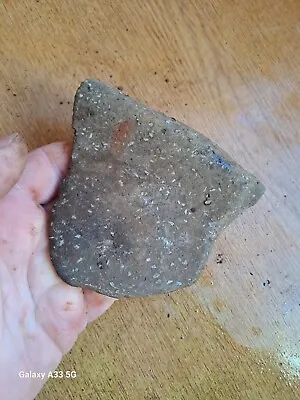 Buy Iron Age Pottery Sherd With Shelly Inclusions Yorkshire  • 13£