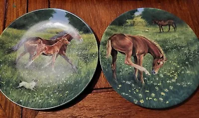 Buy Pair Of Royal Worcester Equestrian Decorative Collectors Plates • 10£